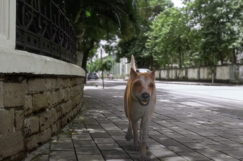 commercial commercial